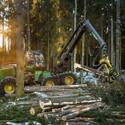 Sverige och skogen - mitt inlägg i debatten