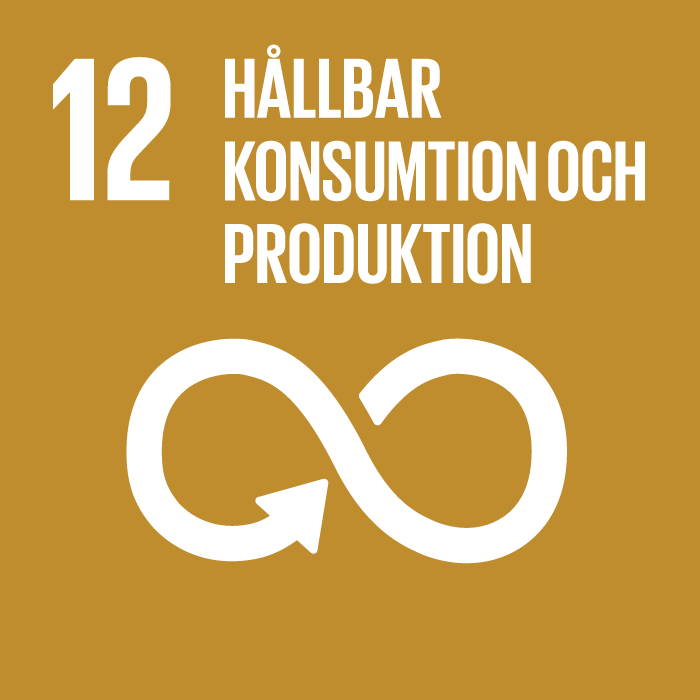 Nr 12 GLOBALA MÅLEN träarmband, hållbar konsumtion och produktion