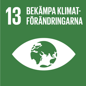 Nr 13 GLOBALA MÅLEN träarmband, bekämpa klimatförändringarna