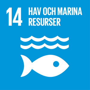 Nr 14 GLOBALA MÅLEN träarmband, hav och marina resurser