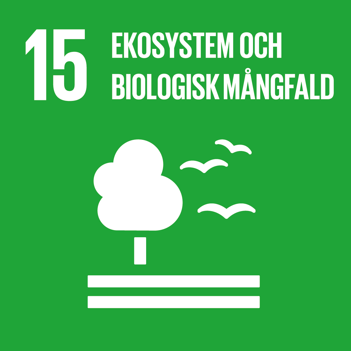 Nr 15 GLOBALA MÅLEN träarmband, ekosystem och biologisk mångfald