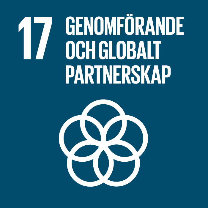 Nr 17 GLOBALA MÅLEN träarmband, genomförande och globalt partnerskap